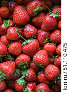 Vertical top-down view of bountiful pile of fresh ripe red strawberries with green stems. Perfect for healthy eating, fresh produce, summer fruits and natural textures. Стоковое фото, фотограф Елена Никишина / Фотобанк Лори
