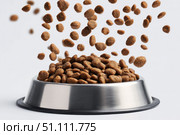 Stainless steel pet bowl with small brown kibble food particles flying out of it isolated white background. Metal feline animal bowl full of dog food spilling into it. Dry cat feed floating in the air. Стоковое AI-изображение, AI-художник Марина Демидюк / Фотобанк Лори