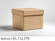 Brown Cardboard Box. Delivery product packaging carton Mockup isolated on white background. Closed taped rectangular corrugated fiberboard box with shadow. Postal, mailing box, package mock up. Cargo. Стоковое AI-изображение, AI-художник Марина Демидюк / Фотобанк Лори