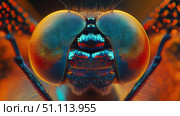 Detailed close-up of a vibrant dragonfly showcasing intricate eye. Стоковое AI-изображение, AI-художник Михаил Коханчиков / Фотобанк Лори