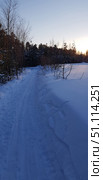 A winter forest landscape with a snow-covered path leading into the distance. On both sides of the path there are high snowdrifts, in some places you can see traces of skis or sleds. On the left are trees and bushes covered with frost, on the right is a spacious snow-covered field. On the horizon you can see the dark silhouettes of a spruce forest and the setting sun, painting the sky in gentle shades of blue and gold. The atmosphere of the frame conveys the silence, freshness and tranquility of a winter evening in the forest. This photograph is ideal for use in themes related to nature, outdoor recreation, winter, tourism and ecology. Стоковое фото, фотограф Анна Кривицкая / Фотобанк Лори