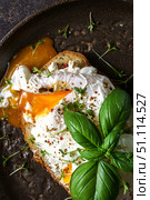 bruschetta with cottage cheese, poached egg and basil. Стоковое фото, фотограф Julia Lavleis / Фотобанк Лори