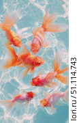 Top-down view of a clear water aquarium, several goldfish swimming in a dreamy, airy composition. Стоковое AI-видео, аниматор Татьяна  Бральнина / Фотобанк Лори