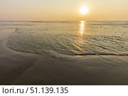 Sunset on Mandrem beach in Goa, India. (2018 год). Стоковое фото, фотограф Емельянов Евгений Викторович / Фотобанк Лори