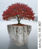 Minimalist autumn landscape: red-leafed tree on white rock with fog and water reflection. Serene yet dramatic nature photography with mirror-like symmetry. Стоковое AI-изображение, AI-художник Анна Никонорова / Фотобанк Лори