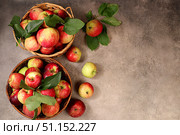 Honey apples in a basket on an old concrete background, harvesting in the village, healthy natural food concept, shop advertising, cafe business card, selective focus. Стоковое фото, фотограф Светлана Балынь / Фотобанк Лори