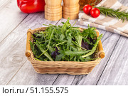Fresh green ruccola salad leaves. Стоковое фото, фотограф Андрей Старостин / Фотобанк Лори