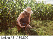 Woman gently holds her dog's head and leans in to kiss the dog s open mouth in a sunny grassy field under a bright sky, capturing a tender moment of affection. Стоковое фото, фотограф Юлия Киселёва / Фотобанк Лори