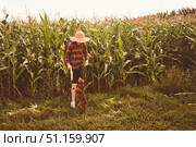 Boy child running, dog and puppy chasing across corn field. Boy loves freedom, child loves sun and sky. Dog running quickly, puppy running near. Field wide, dirt dry, sky endless, freedom alive. Стоковое фото, фотограф Юлия Киселёва / Фотобанк Лори