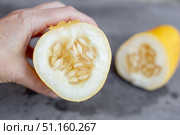 Close up of hand holding cut yellow overripe cucumber with seeds. Growing cucumber seeds for planting. Стоковое фото, фотограф Коханова Наталья / Фотобанк Лори