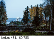 Vyborg, Russia, 30 Jule 2020, Landscape Monrepos Park with tree, grass and trail. Редакционное фото, фотограф Spirit River / Фотобанк Лори
