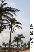 palm trees on the beach at sunset Tranquil summer vacation or holiday landscape. Tropical island sunset beach. Palm trees over calm sea water, sun rays, colorful sky. Exotic nature view, inspirational. Стоковое фото, фотограф Zita Khasanova / Фотобанк Лори