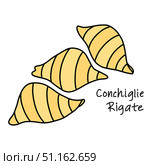 Иллюстрация итальянской пасты Conchiglie Rigate в стиле дудл, набор макарон конкилье ракушки. Стоковая иллюстрация, иллюстратор Ирина Ласькова / Фотобанк Лори