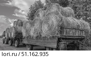 Процесс уборки сена. Трактор на тележках транспортирует рулоны сена. Солома после уборки зерна используется на корм скоту. Сельскохозяйственная техника. Стоковое фото, фотограф Эдуард Белкин / Фотобанк Лори