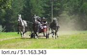 Russian Three Horses Galloping in Nature. Редакционное видео, видеограф Igor Skripachev / Фотобанк Лори