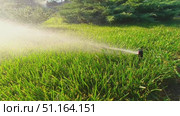 Automatic garden irrigation system watering lawn. Automatic equipment for irrigation and maintenance of lawns, gardening. Стоковое видео, видеограф Владислав Тригуб / Фотобанк Лори