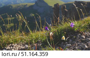 4k, A panoramic aerial view of the Two Monks rock from behind a hill covered with meadow grass and flowers, on Bolshoy Bermamyt plateau, North Caucasus, at daytime, Stavropol Krai, Russia. Стоковое видео, видеограф Сергей Богомяко / Фотобанк Лори