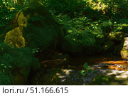 Ручей среди камней покрытых мхом в тайге. Стоковое фото, фотограф Павел Сапрыкин / Фотобанк Лори