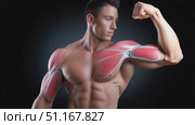 Muscular bodybuilder flexing powerful biceps, displaying chiseled arm muscle definition against dark backdrop, emphasizing peak physical conditioning. Стоковое AI-видео, аниматор Юрий Поздников / Фотобанк Лори