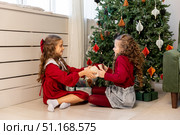 Two sisters, little girls pulling big wrapped gift box with red ribbon, fighting near decorated Christmas tree cannot share a present on Christmas morning. High quality photo. Стоковое фото, фотограф Ирина Михайличенко / Фотобанк Лори