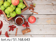 Apple cider, juice or fruit drink and ingredients on a sunny table. The concept of diet and weight loss. Apples help cleanse the body and reduce weight. Healthy eating, body detoxification. Стоковое фото, фотограф Светлана Балынь / Фотобанк Лори