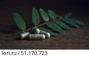 A set of green herbal capsules lies on a wooden surface next to a natural green plant stem with leaves, symbolizing organic health supplements and alternative medicine. The image emphasizes natural healing, eco-conscious living, and traditional remedies. This concept can be tied to Russia's Day of the Herbalist (celebrated informally) and broader wellness awareness days that promote natural health and traditional medicine. Стоковое AI-изображение, AI-художник Ксения Чунаева / Фотобанк Лори