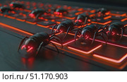 Explore how digital threats are represented as spiders on a keyboard in this engaging portrayal of cybersecurity. Стоковое AI-видео, аниматор Данила Большаков / Фотобанк Лори