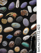 A collection of jewelry with natural stones and shells, presented on a black velvet background. The photo shows oval and round cabochons made of various minerals and fossils: amethyst, labradorite, lapis lazuli, malachite, quartz, agate, fossilized ammonites and corals. Some inserts are made of sea shells and mother-of-pearl. Among the stones, a gold brooch with corals stands out. The jewelry is distinguished by a wealth of textures and colors: from deep purple and green to bright blue and mother-of-pearl shine. The atmosphere of the photo conveys the aesthetics of jewelry art, collecting and the natural beauty of the stone. Стоковое фото, фотограф Анна Кривицкая / Фотобанк Лори
