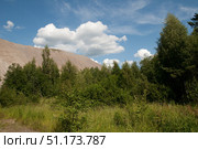 Summer landscape with a green forest and tall grass in the foreground. Behind the trees, a large sandy or clayey hill can be seen, creating a contrast with the dense greenery. White fluffy clouds float in the sky, emphasizing the depth of the blue sky. The scene conveys the atmosphere of a warm summer day, tranquility and harmony of nature. Perfect for use in themes related to ecology, landscapes, outdoor recreation, geology and the beauty of natural landscapes. Стоковое фото, фотограф Анна Кривицкая / Фотобанк Лори