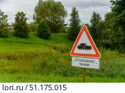 The warning sign "Beware of tanks" at the military training ground. Стоковое фото, фотограф Ярославский Максим / Фотобанк Лори