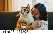 A woman lovingly holds her cat close while relaxing in a sunlit living room. Стоковое AI-видео, аниматор Данила Большаков / Фотобанк Лори