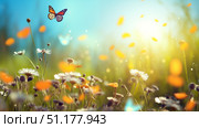 Colorful butterflies and wildflowers in meadow. Стоковое AI-изображение, AI-художник Михаил Коханчиков / Фотобанк Лори