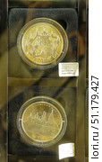 Commemorative collectible coins dedicated to Russian monasteries. In the upper part of the frame is a coin with an image of the Gethsemane Chernigov Skete (the domes and towers of the monastery complex with an inscription around it are clearly visible). In the lower part of the frame is a coin with an image of the Holy Dormition Monastery in the city of Staritsa. Both items are made of silver and placed in transparent capsules for safety. The label on the right indicates the date of issue (25.07.2014), denomination of 25 rubles, weight 155.5 g, silver sample 925, article 1107249 and price 9500 rubles. The background of the composition is made in golden and black tones, which emphasizes the value and collection value of the exhibits. Редакционное фото, фотограф Анна Кривицкая / Фотобанк Лори