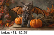 A fluffy kitten with bat wings poses beside carved pumpkins and colorful autumn leaves, showcasing a playful Halloween spirit. Стоковое AI-видео, аниматор Данила Большаков / Фотобанк Лори