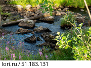 Mountain river landscape. Scenic Arctic nature background. Стоковое фото, фотограф Маргарита Кирьякова / Фотобанк Лори