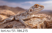 Close-up of desert lizard resting on rocky surface with detailed scales and alert expression, set against a blurred arid landscape under blue sky. Стоковое AI-изображение, AI-художник Катерина Бондарец / Фотобанк Лори