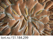 Close-up view of a freshly baked apple pie, showing the golden crust and neatly arranged apple slices, dusted with powdered sugar, creating a visually appealing and appetizing presentation. Стоковое фото, фотограф Ольга Ильина / Фотобанк Лори