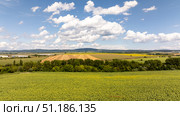 Sunflower field dominating the landscape near Herceghalom, Hungary under a cloudy sky. Стоковое фото, фотограф Данил Руденко / Фотобанк Лори