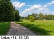 The country road to the Mikhailovskoye estate along the Festive glade on the territory of the Pushkin Museum-Reserve on a foggy summer morning, Pushkinskiye Gory, Pskov region, Russia. Стоковое фото, фотограф Ula Ulachka / Фотобанк Лори