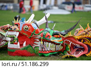Kite festival. Heads of the Dragon kites. Стоковое фото, фотограф Irina Kuchugurina/Gaudy / Фотобанк Лори