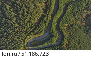 Curved road trough pine forest. Стоковое видео, видеограф Михаил Коханчиков / Фотобанк Лори