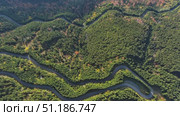 Curved road trough pine forest. Стоковое видео, видеограф Михаил Коханчиков / Фотобанк Лори