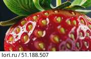 A close-up macro shot of a ripe red strawberry, highlighting its glossy surface and the seeds embedded in the skin. The image showcases the freshness, juiciness, and vibrant color of the fruit, with green leaves partially visible at the top. The fine texture and tiny droplets on the strawberry add a sense of freshness and appeal. Стоковое AI-видео, аниматор Ксения Чунаева / Фотобанк Лори