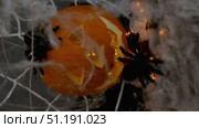 A small black spider crawls on a pumpkin with a white web with flashing lights, the concept of the Halloween holiday. Стоковое видео, видеограф Катерина Белякина / Фотобанк Лори