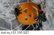 A small black spider crawls on a pumpkin with a white web with flashing lights, the concept of the Halloween holiday. Стоковое видео, видеограф Катерина Белякина / Фотобанк Лори