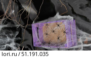 Black small spiders in a purple box covered with cobwebs. Creepy photo zone for Halloween. Стоковое видео, видеограф Катерина Белякина / Фотобанк Лори