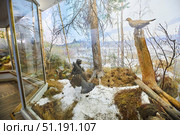 Vyborg, Russia - May 30, 2021. Museum in a 17th century castle in the city of Vyborg in Russia. The animal world of the place. Редакционное фото, фотограф Наталия Кирсанова / Фотобанк Лори