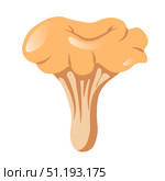 Chanterelle Mushroom in Flat Style Icon isolated on white Background. Orange or Yellow Fresh Mushroom. Edible Fungi Chanterelle. Vector Illustration. Стоковая иллюстрация, иллюстратор Tosunyan Lusine / Фотобанк Лори