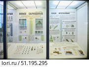 Saint Petersburg, Russia - May 27, 2021: Zoological Museum. The exposition tells about bacteria and unicellular organisms. Редакционное фото, фотограф Наталия Кирсанова / Фотобанк Лори