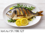 Grilled fish on a white plate, top view, wooden backdrop. Fried fish with slice of lemon and fresh herbs, olive oil. Snapper or sea bream on kitchen table. For cooking background or menu design. Стоковое AI-изображение, AI-художник Марина Демидюк / Фотобанк Лори